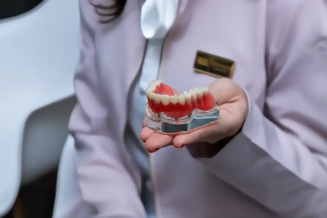 Dentist in lab coat holding a dental model indoors