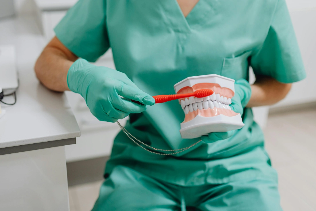 Dentist demonstrating proper brushing of teeth.
