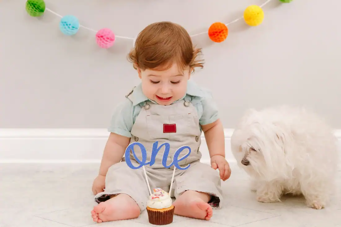 baby's first birthday